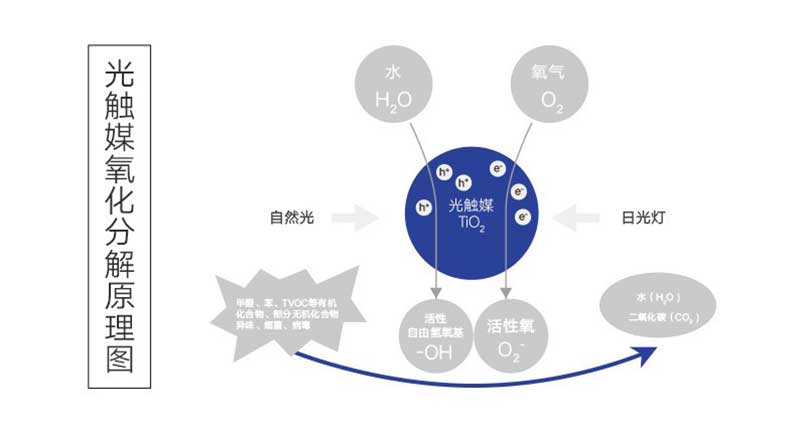 光觸媒除甲醛技術(shù)將甲醛氧化分解成二氧化碳和水